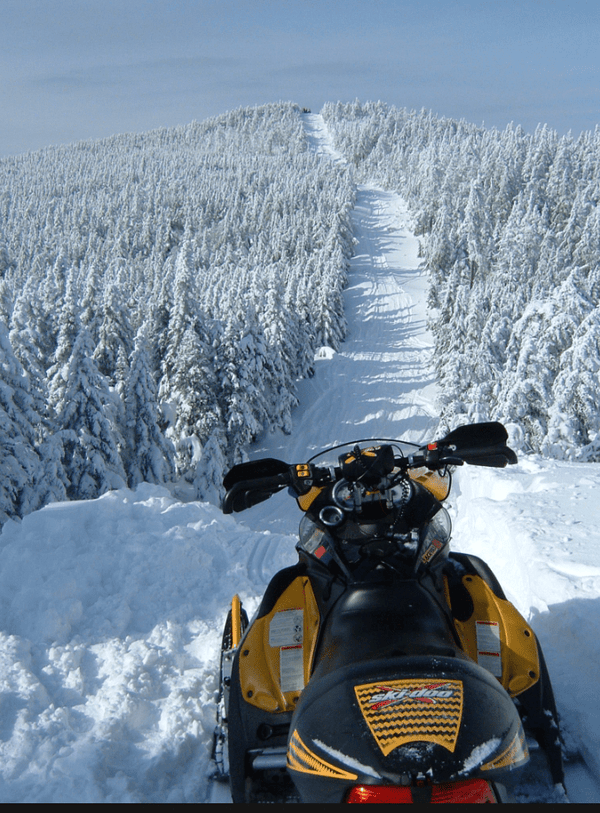 Mountain Snowmobiles vs. Trail Snowmobiles