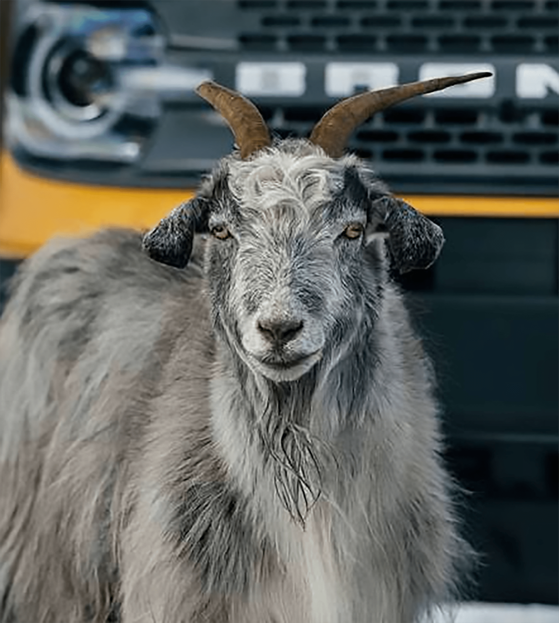What is GOAT Mode? Terrain Management System Explained Know more!