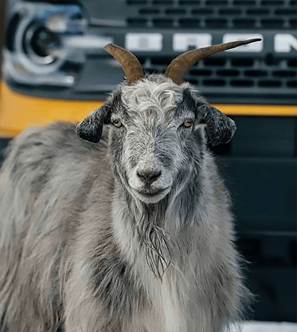 Goat Mode What is GOAT Mode? Exploring Off-Roading Features - Know more!
