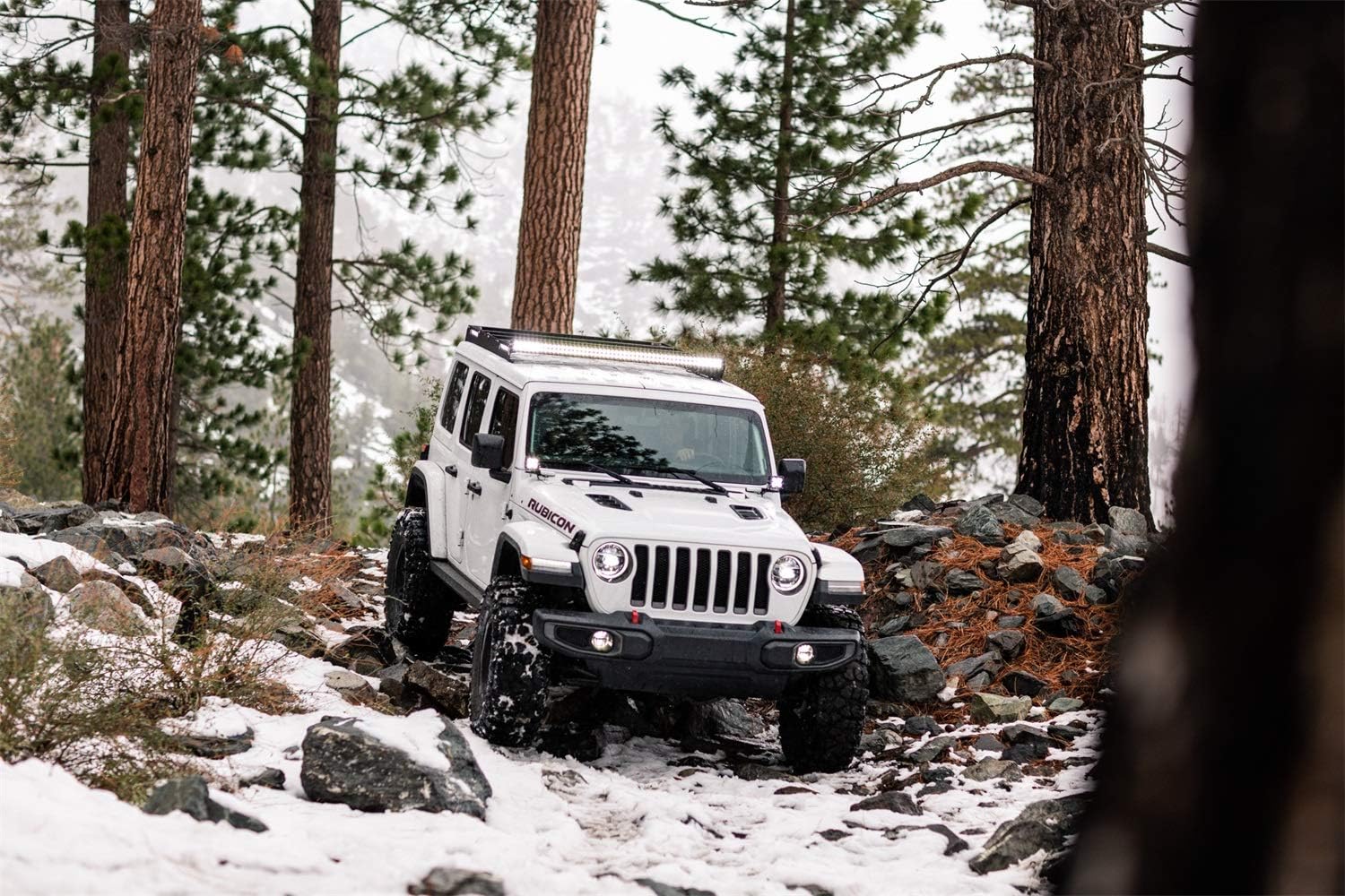KC HiLiTES Fog Lights - Goats Trail 