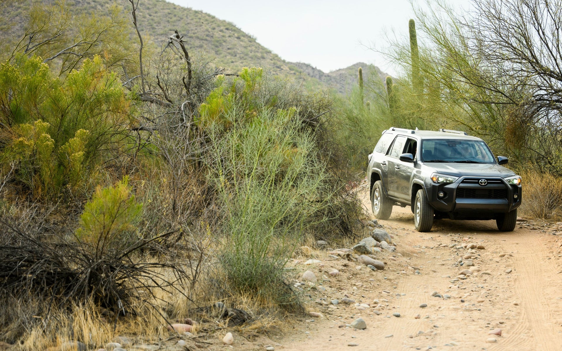 Toyota TRD 4x4 Truck-Goats Trail