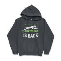 Arctic Cat - The Cat is Back Hoodie - Goats Trail