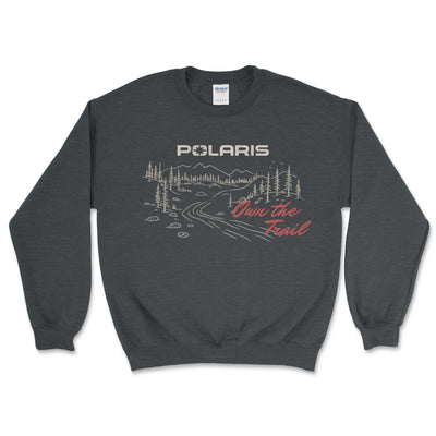 Dark gray sweatshirt with Polaris logo and graphic design on a white background