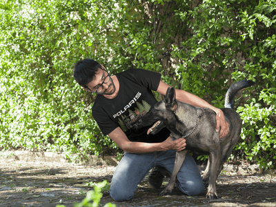 Men's Big and Tall Polaris Dog Lover Tee Shirt Big and Tall Shirts