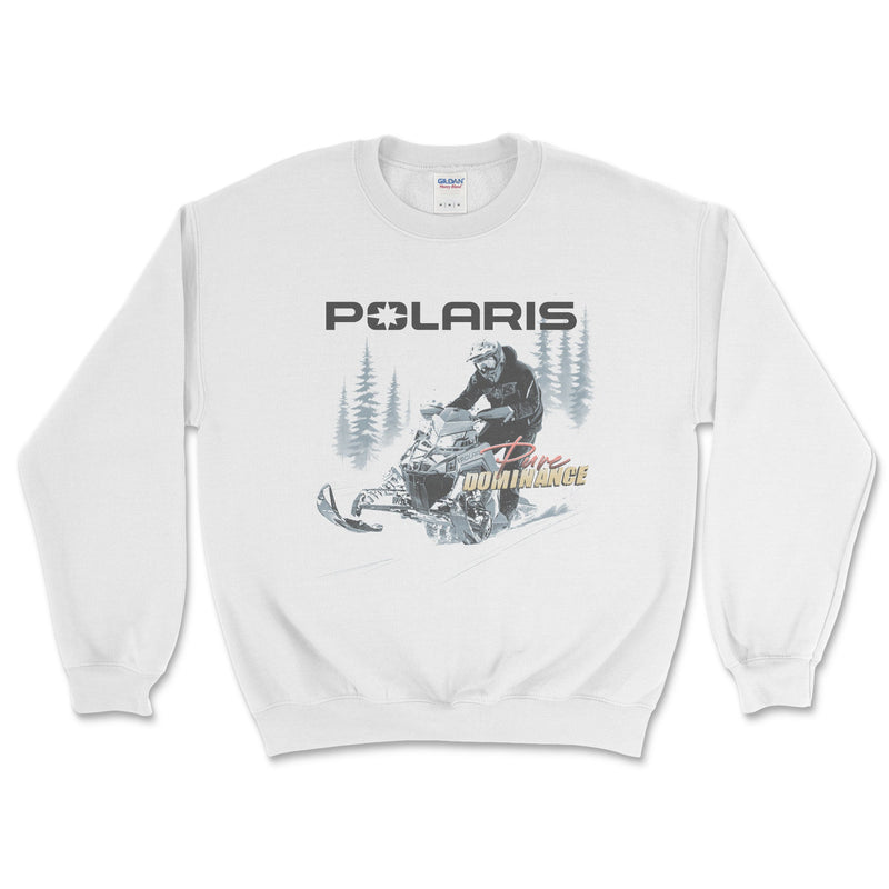 Polaris "I&