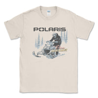 Polaris I&