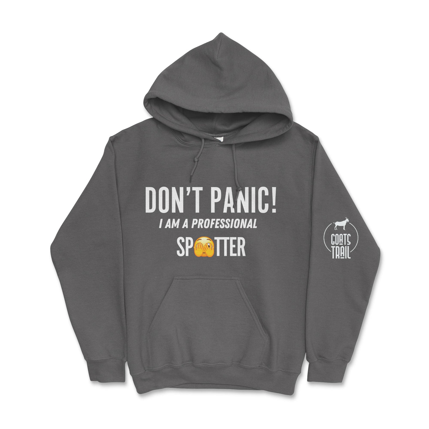 Don't Panic! I Am A Professional Spotter Hoodie Charcoal / Small Hooded Sweatshirt