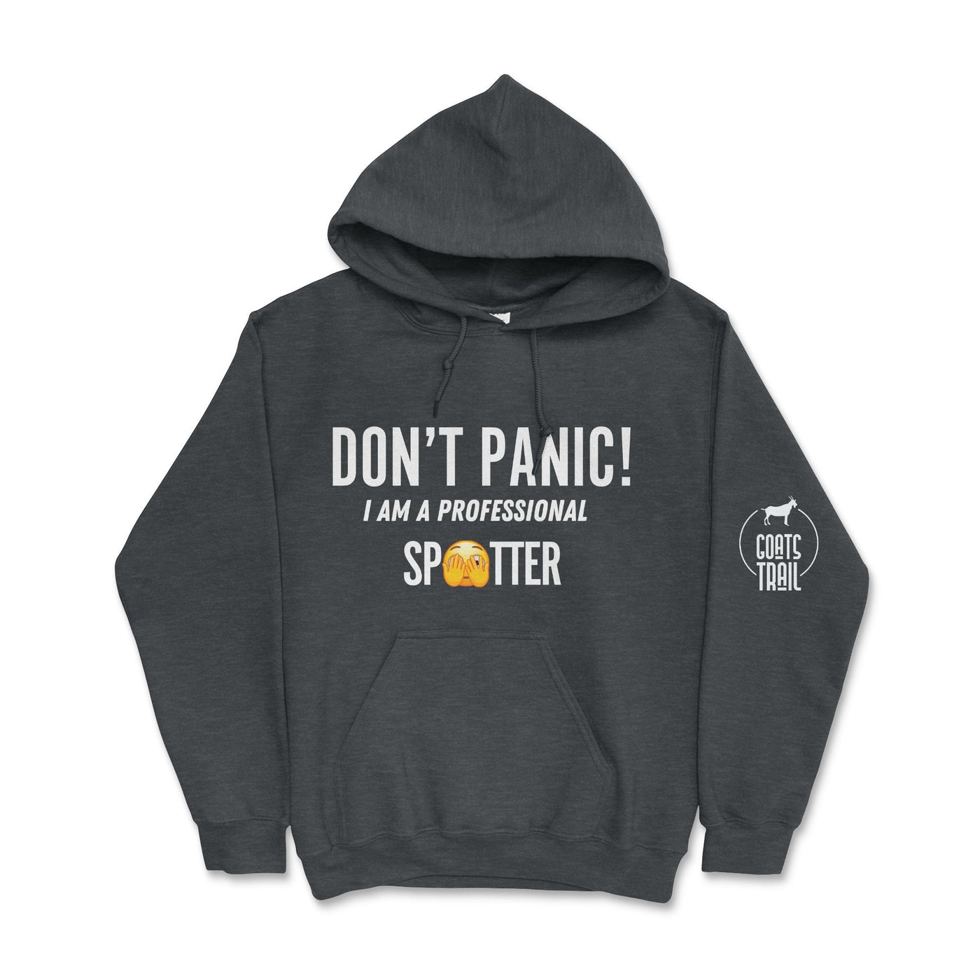 Don't Panic! I Am A Professional Spotter Hoodie Dark Heather / Small Hooded Sweatshirt