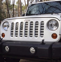 Platinum Black and White American Flag Grille Insert - Goats Trail