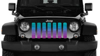 Teal Purple Ombre Multi Color Grille Insert - Goats Trail