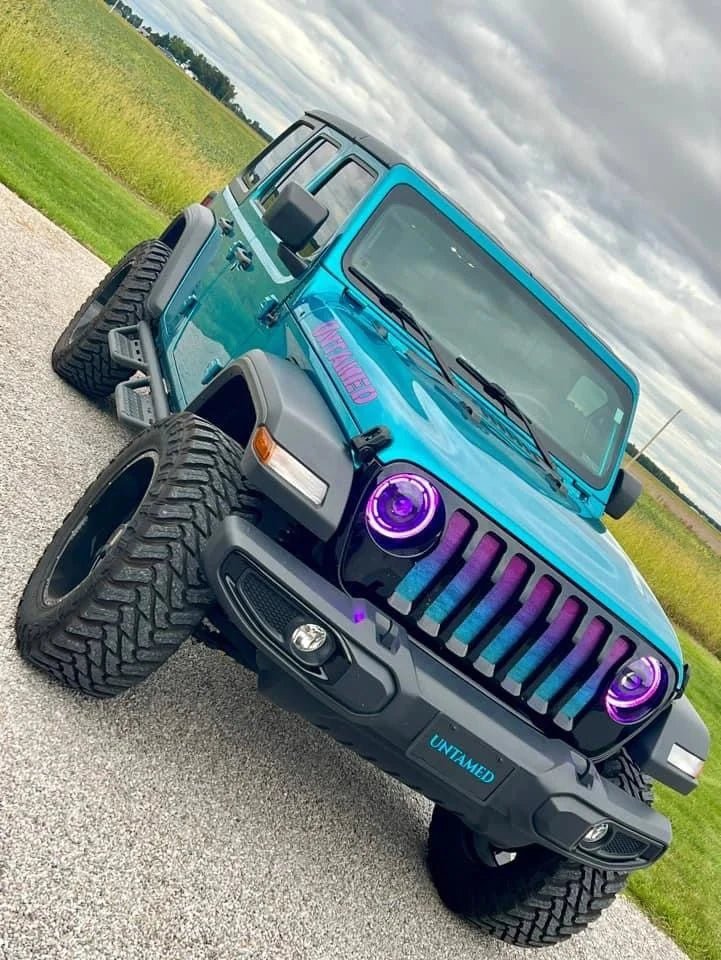 Teal Purple Ombre Multi Color Grille Insert - Goats Trail